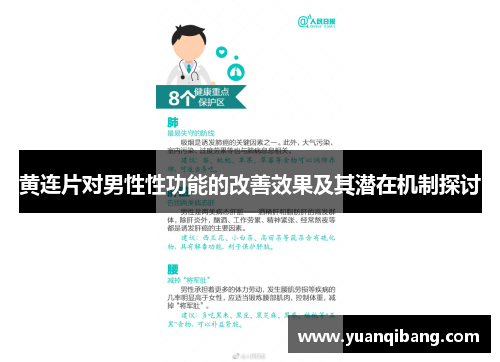 黄连片对男性性功能的改善效果及其潜在机制探讨 黄连片对男性性功能的改善效果及其潜在机制探讨