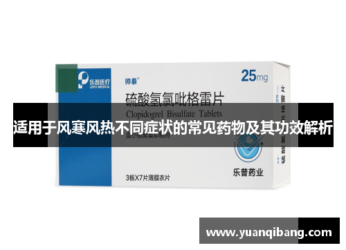 适用于风寒风热不同症状的常见药物及其功效解析