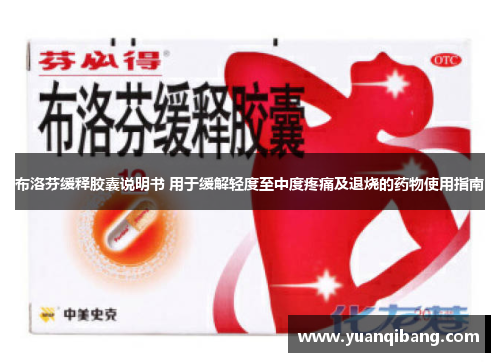 布洛芬缓释胶囊说明书 用于缓解轻度至中度疼痛及退烧的药物使用指南 布洛芬缓释胶囊说明书 用于缓解轻度至中度疼痛及退烧的药物使用指南